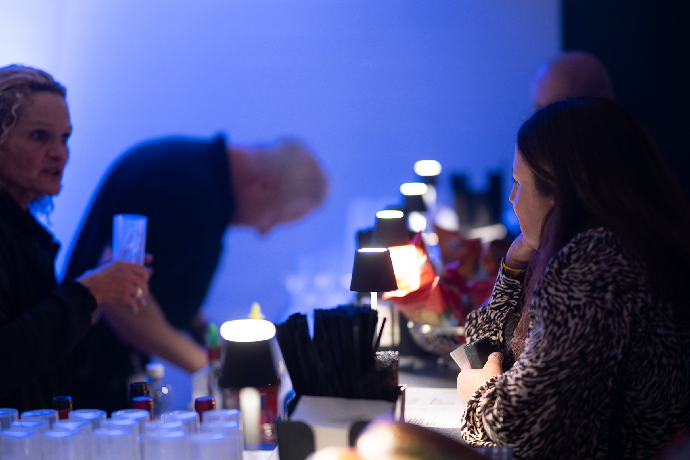 DSC 6942-20251113 Do Matthew Skoller and Chicago Wind feat. Precious Taylor