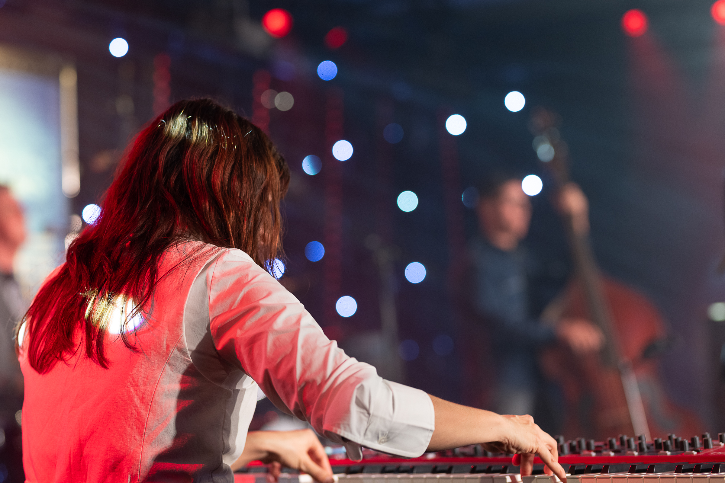 DSC 6979-20251113 Do Matthew Skoller and Chicago Wind feat. Precious Taylor