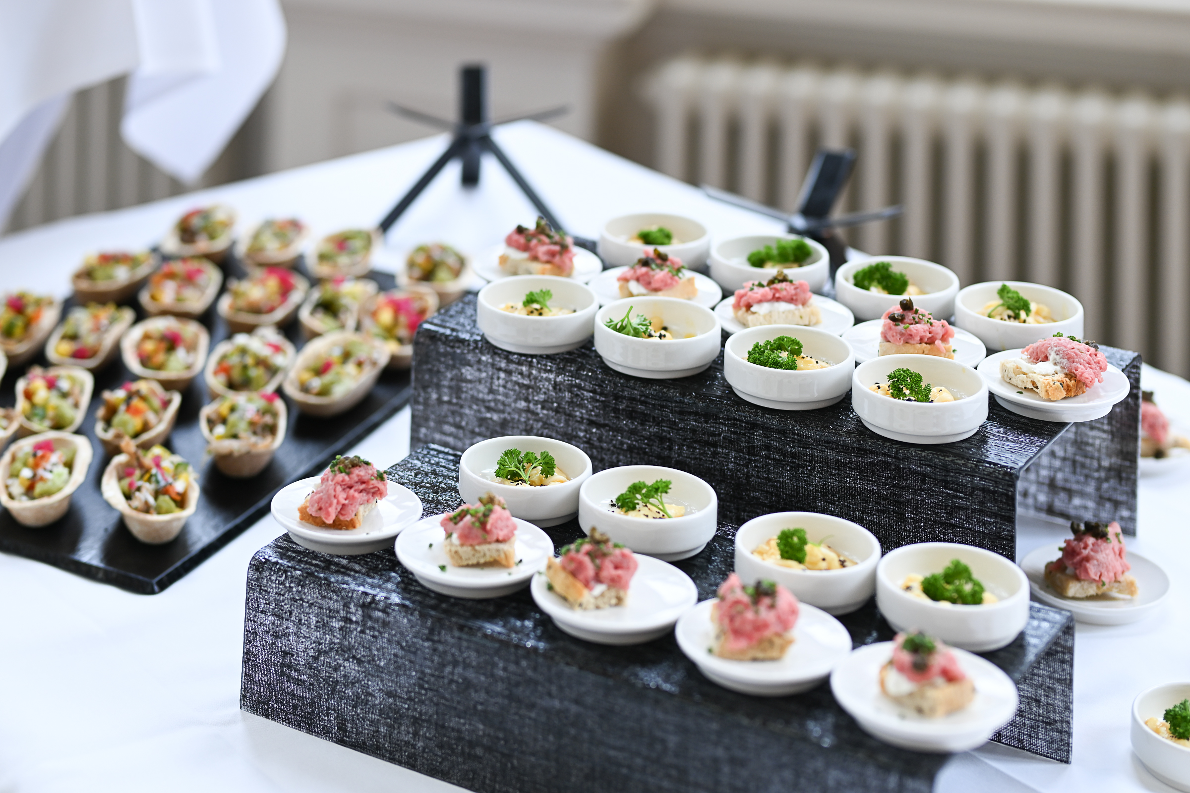 DSC 5073-20251109 So Matthew Skoller and Chicago Wind feat. Precious Taylor