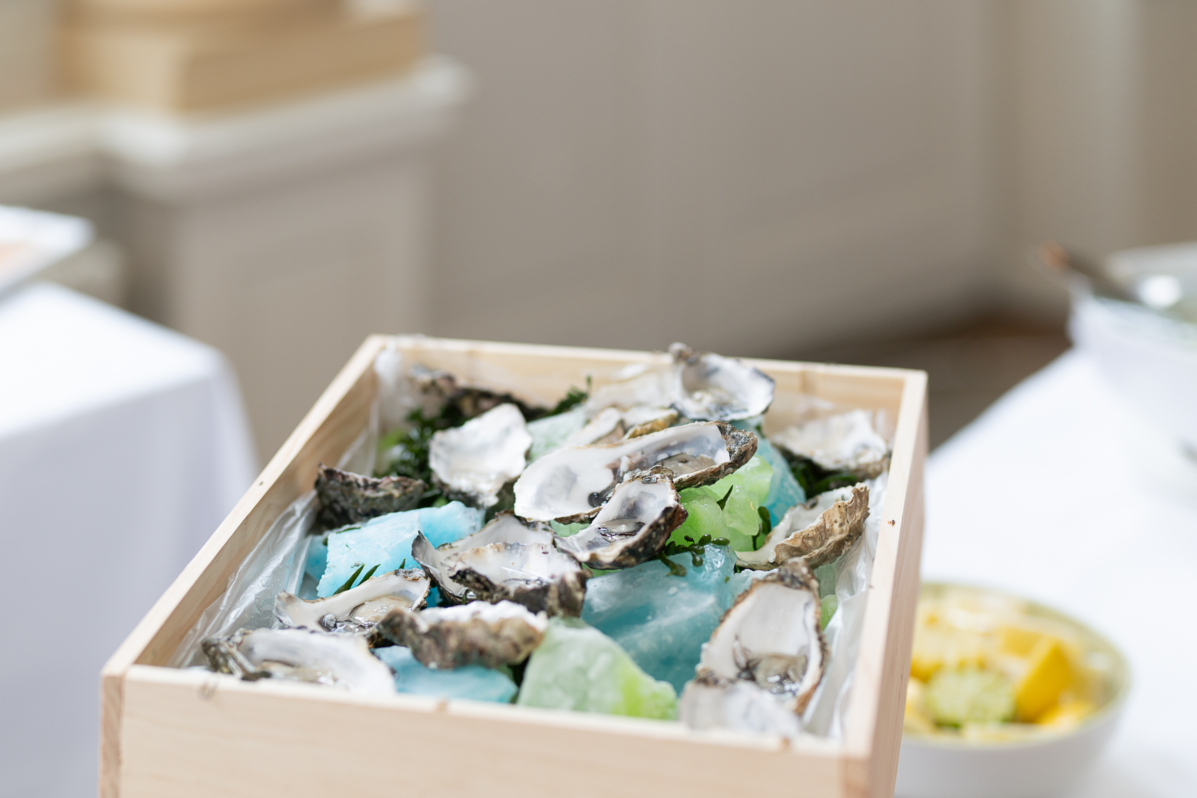 DSC 5076-20251109 So Matthew Skoller and Chicago Wind feat. Precious Taylor