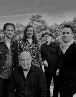 The Fabulous Thunderbirds